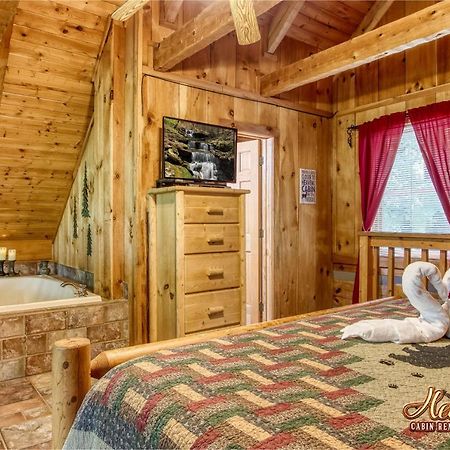 Cozy Mountain Hideaway Villa Гетлинбург Екстериор снимка